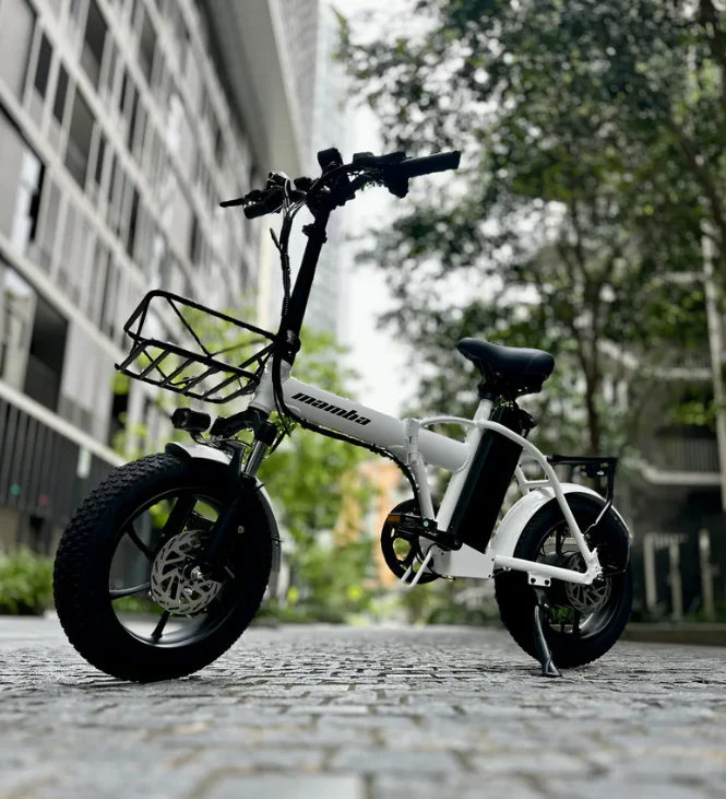 Mamba Taureg – Folding Fat Tyre E-Bike (16"x3.0) | 48V 18Ah - Image 23