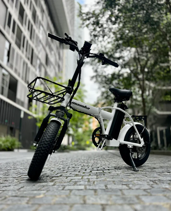 Mamba Taureg – Folding Fat Tyre E-Bike (16"x3.0) | 48V 18Ah - Image 24