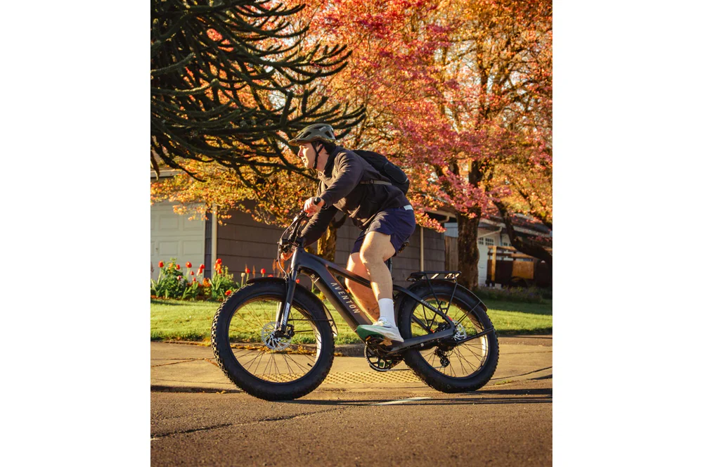 Aventon Aventure 3 Step Over Electric Bike - Image 18