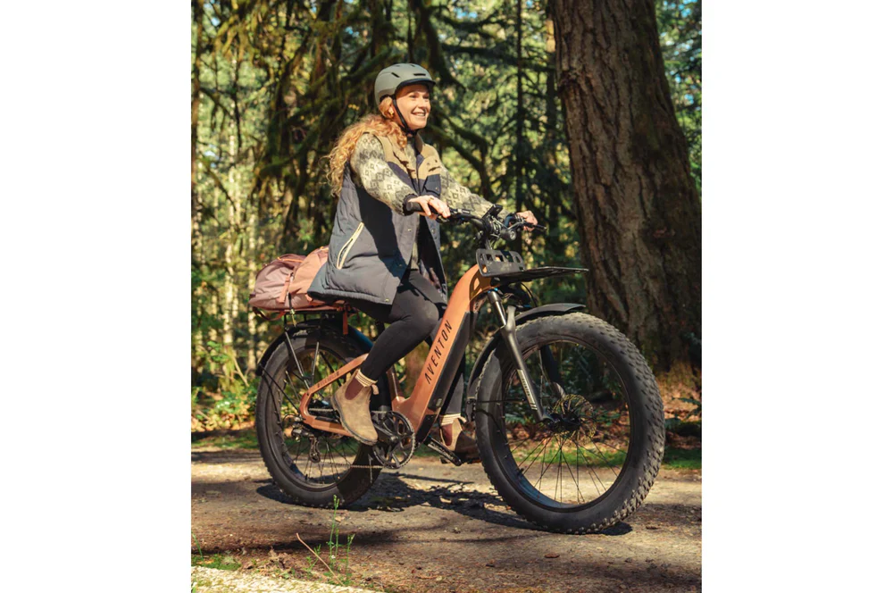 Aventon Aventure 3 Step Through Electric Bike - Image 18