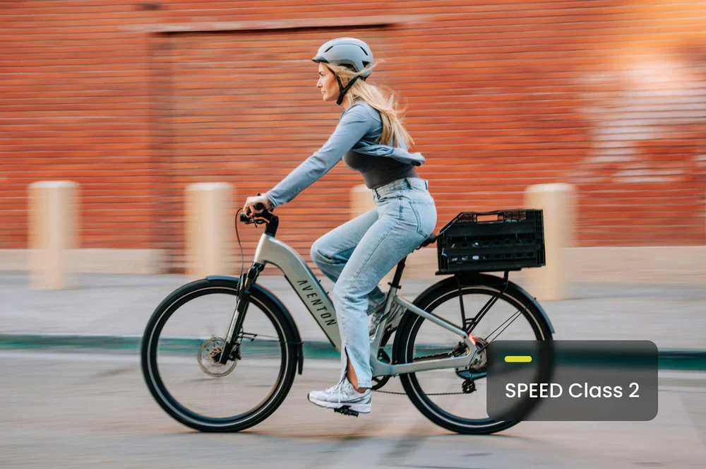 Aventon Level 3 Step Through Electric Bike - Image 16