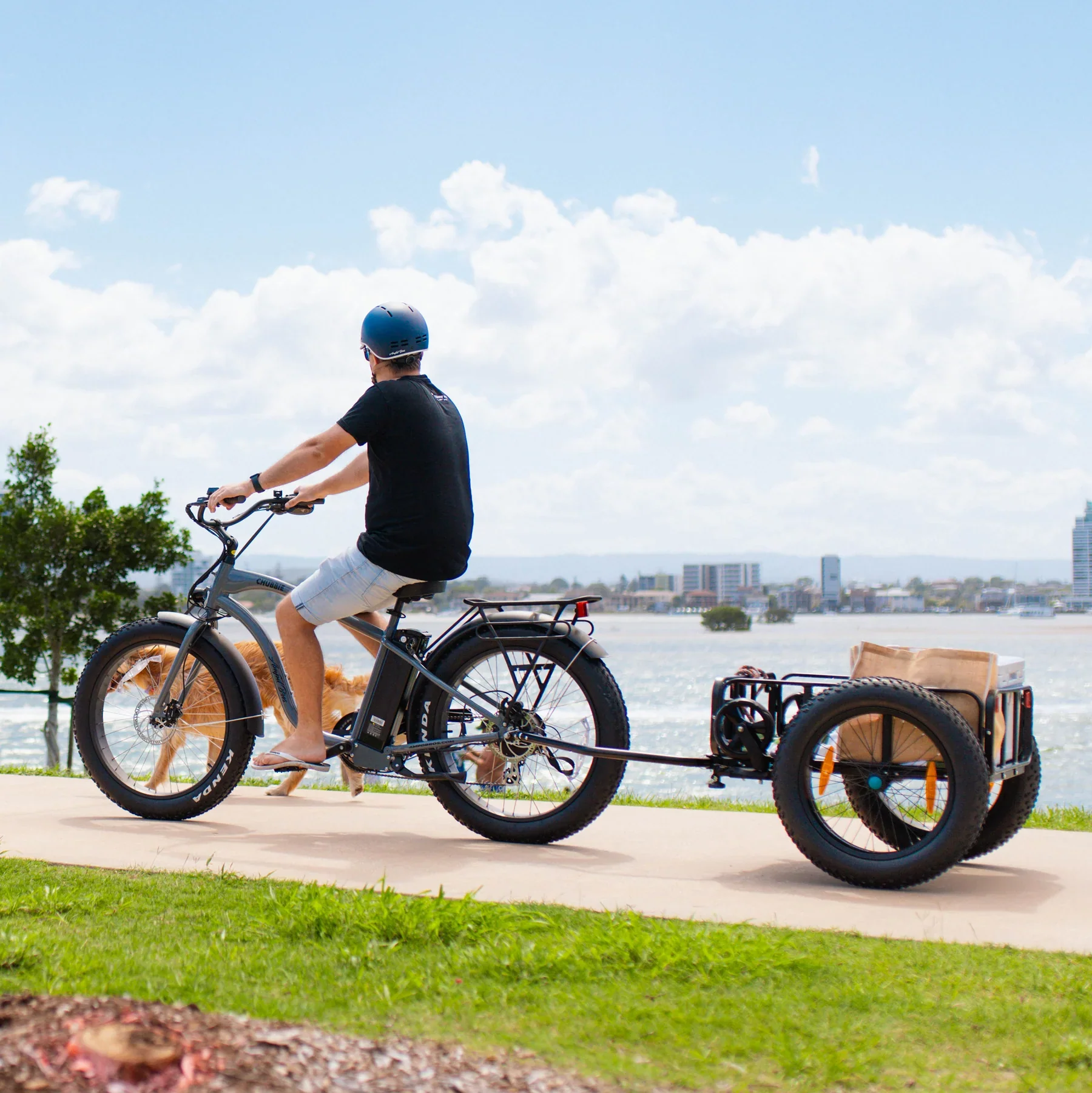 AMPD Brothers CHUBBIE 2 Electric Beach Cruiser Bike - Image 33