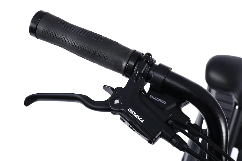 Vamos - Amigo 2026 - All Purpose Compact Cargo E-Bike - Image 29