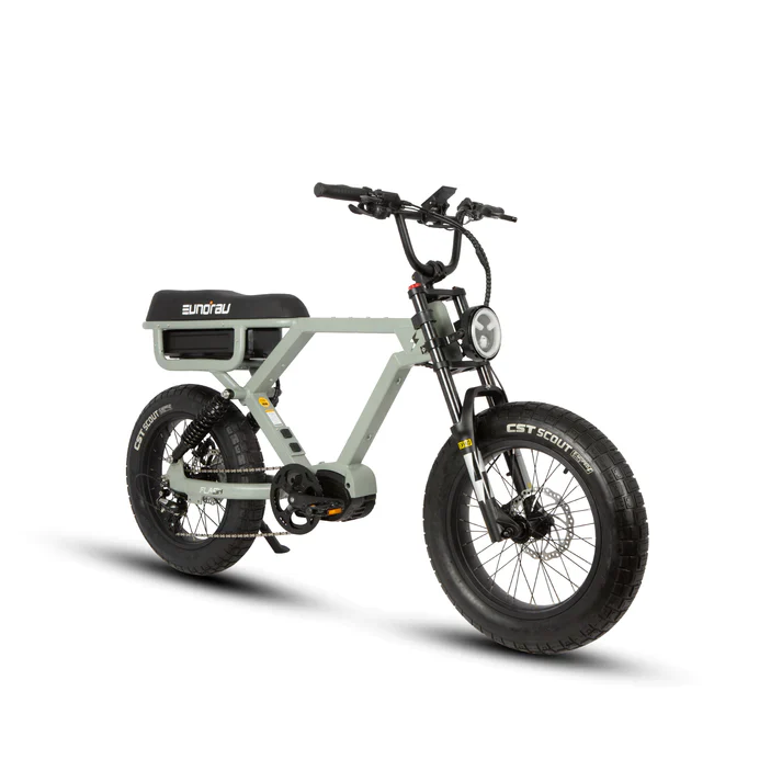 Eunorau Flash - Fat Tyre eBike - Image 10