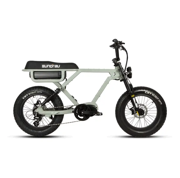 Eunorau Flash - Fat Tyre eBike - Image 12