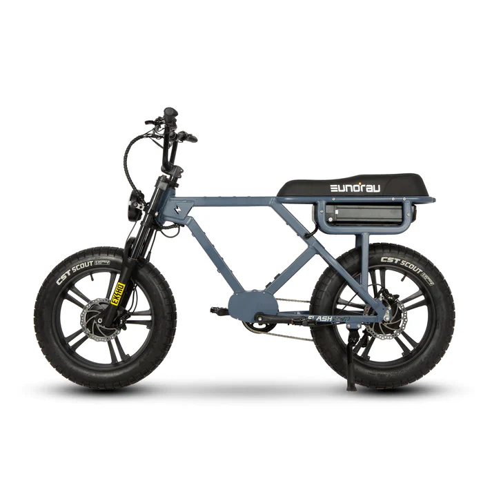 Eunorau Flash - Fat Tyre eBike - Image 4