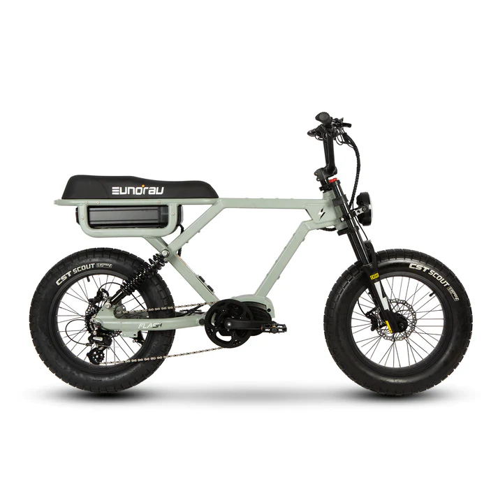 Eunorau Flash - Fat Tyre eBike - Image 8