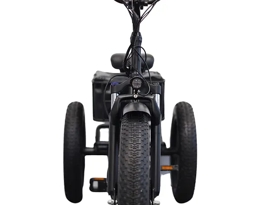 Kristall EX200 E-Trike 48V20AH – Power, Stability, and Maximum Cargo Capacity - Image 3