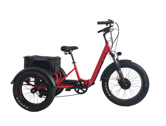 Kristall EX200 E-Trike 48V20AH – Power, Stability, and Maximum Cargo Capacity - Image 5