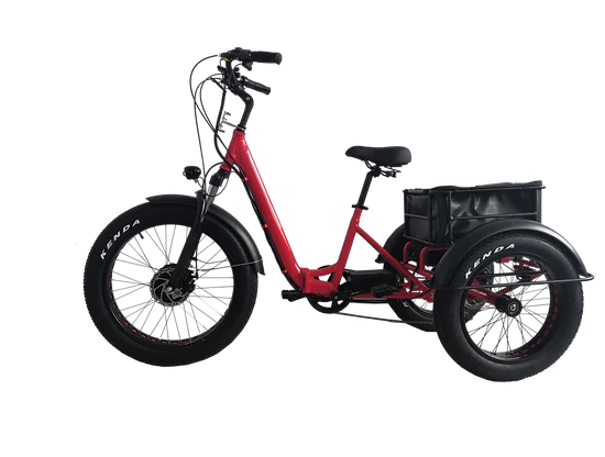 Kristall EX200 E-Trike 48V20AH – Power, Stability, and Maximum Cargo Capacity - Image 6