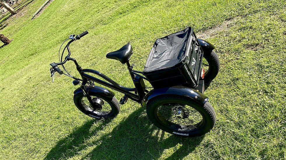 KST Electric Trike Bike Fat Tire 48V20AH - Image 4