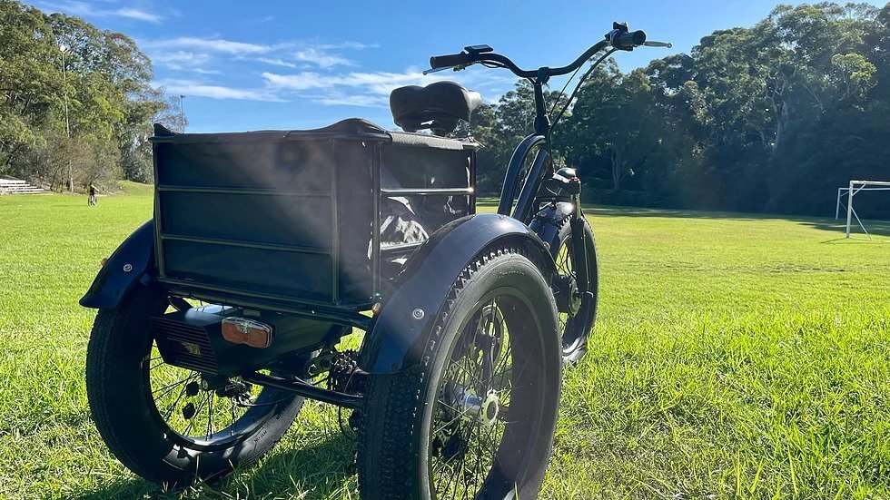 KST Electric Trike Bike Fat Tire 48V20AH - Image 5