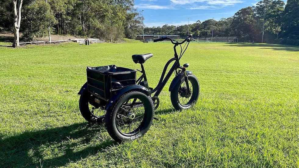 KST Electric Trike Bike Fat Tire 48V20AH - Image 7