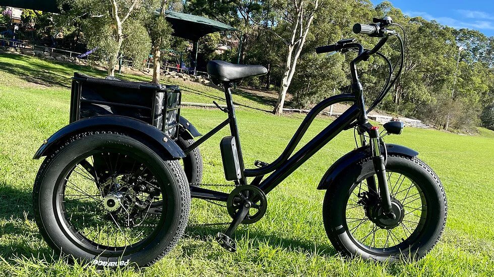 KST Electric Trike Bike Fat Tire 48V20AH - Image 8