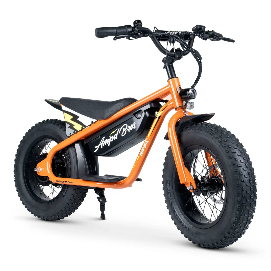 LIL RIPPA 16" KIDS ELECTRIC BIKE - Image 16