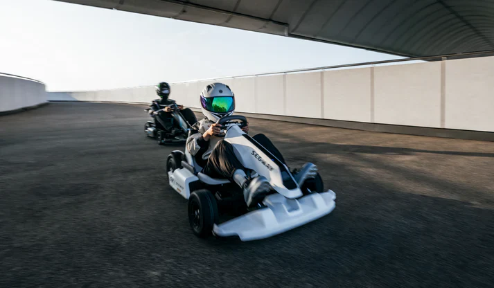 Segway-Ninebot Gokart Pro 2 - Image 6
