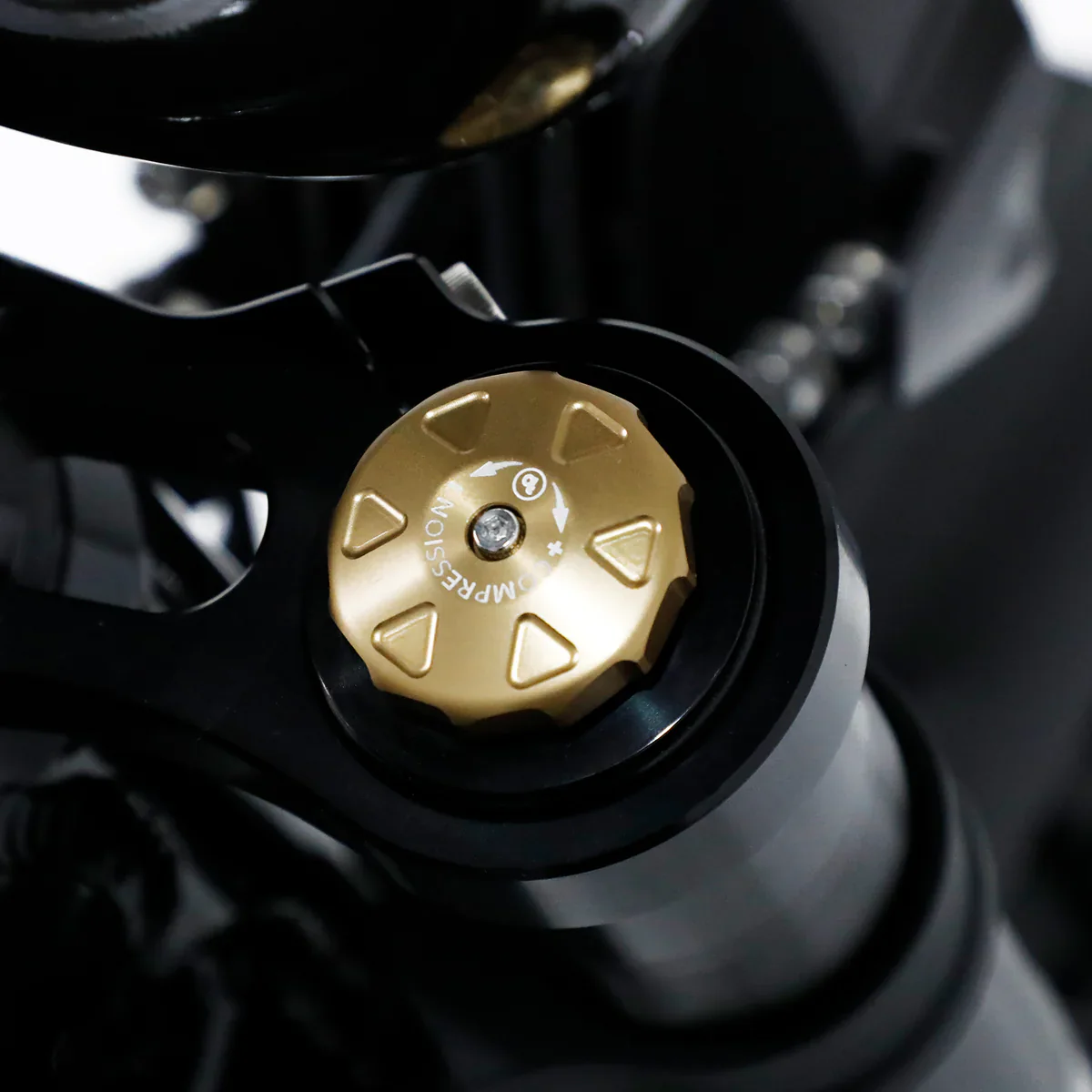 Fatboy - The Bagus V3 Ultra eBike - Image 22